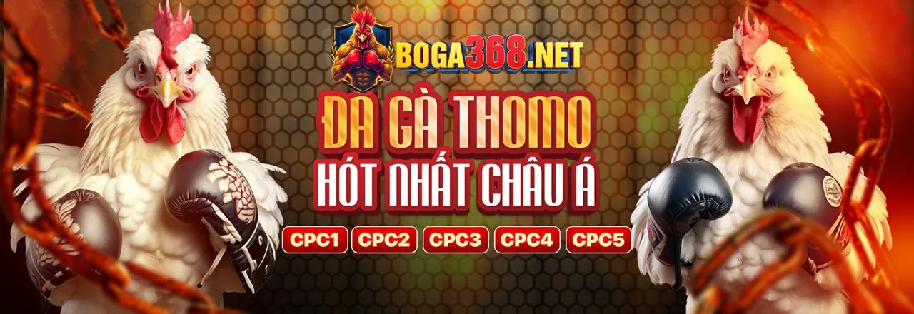 Hình ảnh chính đá gà trực tuyến hm888